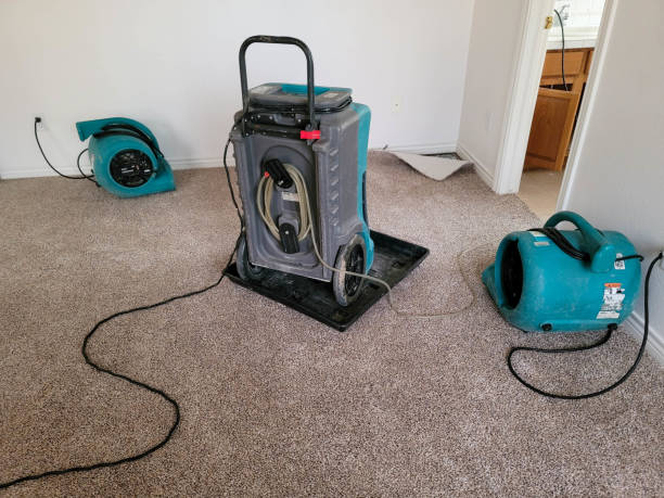 Best Water damage restoration near me  in Chester, NY
