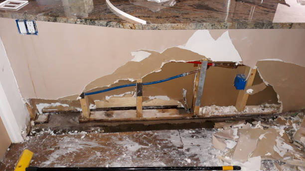 Best Ceiling water damage repair  in Chester, NY