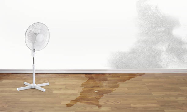 Water damage restoration mold remediation in Chester, NY