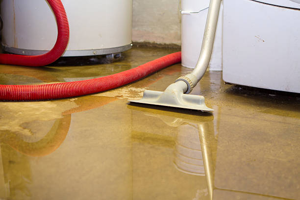 Reliable Chester, NY Water damage restoration Solutions